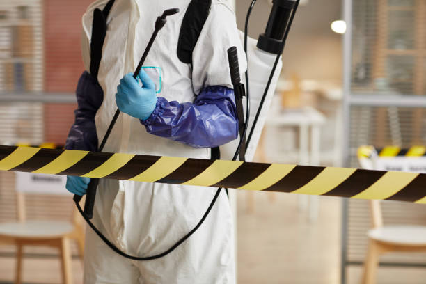 Professional Infectious Disease Decontamination technician working in Lake Arrowhead, CA