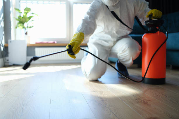 Reliable Infectious Disease Decontamination contractor in Lake Arrowhead, CA by Trauma Clean Pros